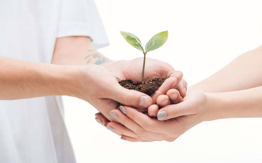 comment développer son entreprise grâce à internet ?