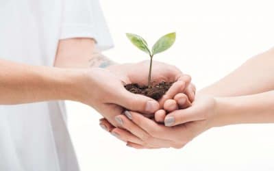 Comment développer son entreprise grâce à internet ?