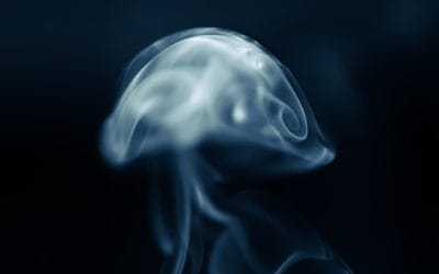 Intelligence émotionnelle : clé du succès professionnel