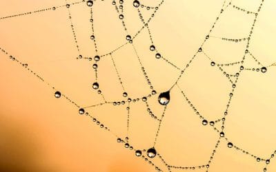 Comment mettre en place son netlinking de façon efficace ?