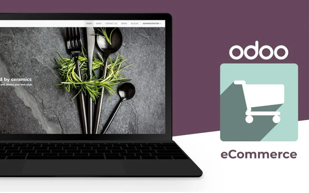 creation de site web avec Odoo