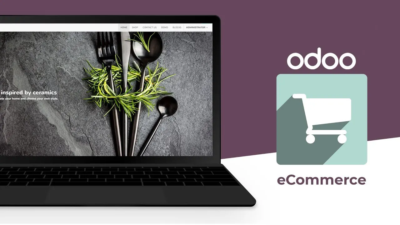 creation de site web avec Odoo